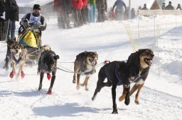 Lenk 2012 SM